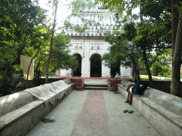 Saurath Sabha Gachhi