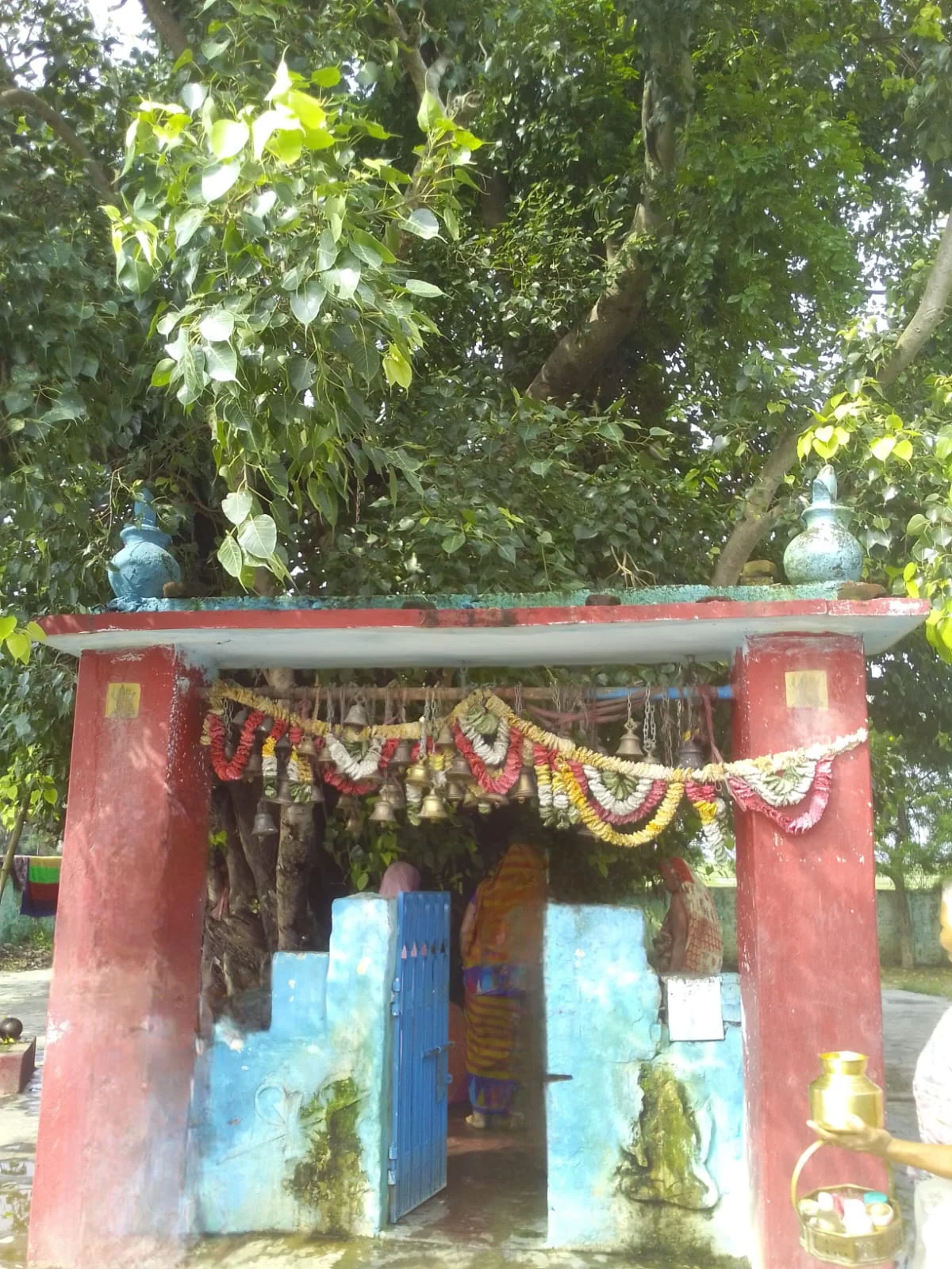 बोनही महादेव (धरौरा)